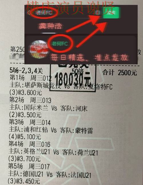 必威世界杯竞猜app下载安装与玩法指南